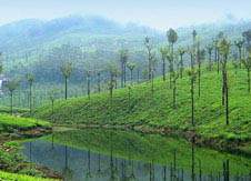 Valappari Kerala honeymoon places